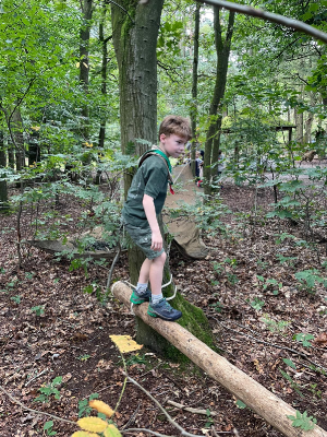 Sint-Martinus den XIIde - Opening 2024